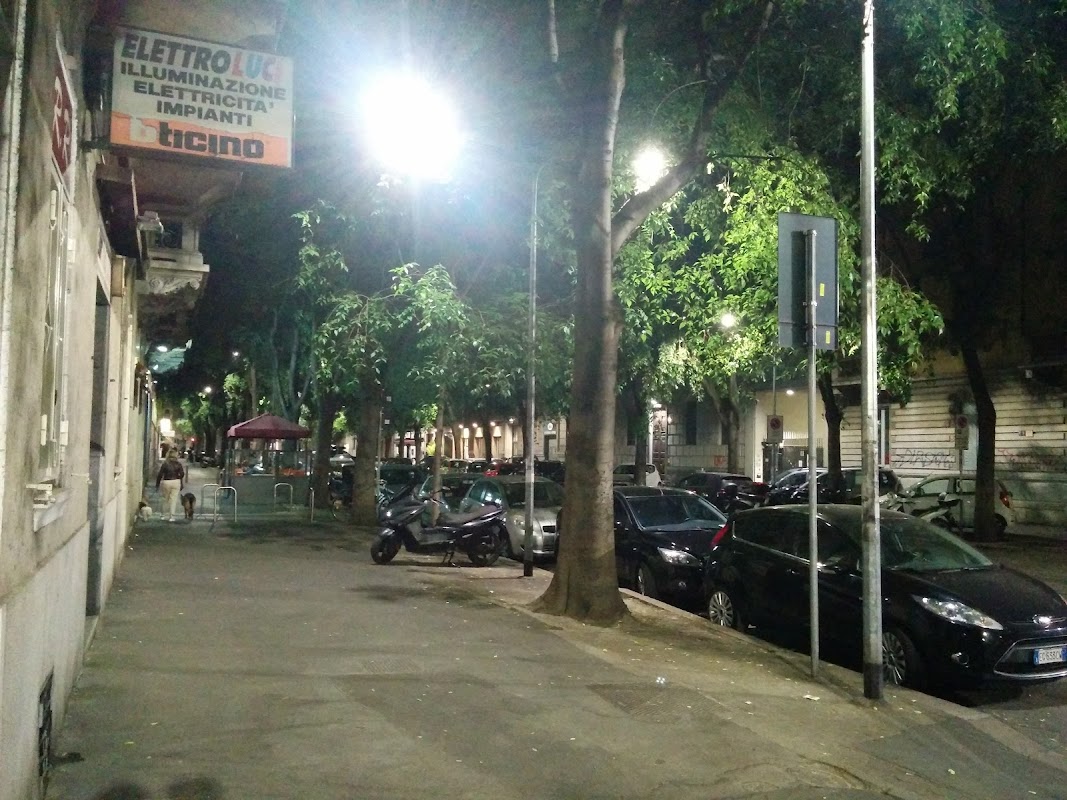 Procaccini