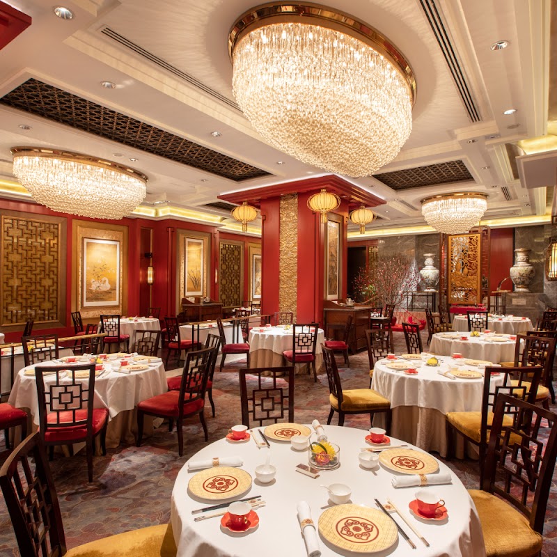 Shang Palace | MICHELIN one-star in Hong Kong | AI Fine Dining